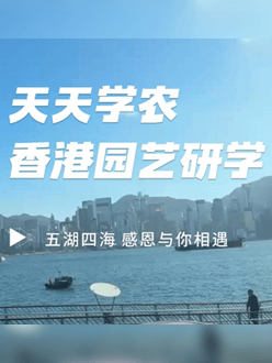 与香港园艺学会联合举办香港园艺研学，专业园境师带队讲解。