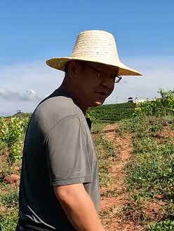 农业人叶涛，50多岁通讯人跨界搞农业，他要用1000万打造一个梦。